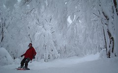 Snowboarding Mt. Hakkoda