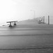 IMG_6957 ---- Early morning fog at Luna Pier, MI