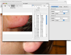 GraphClick used for ear analysis