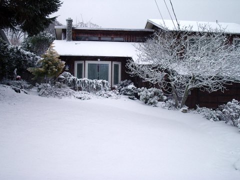 Snow at the Aquino homestead
