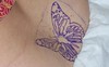 OWbutterfly3