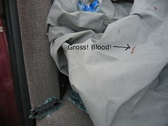 gross_blood