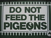 do not feed the
pigeons