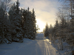 Skiing track
