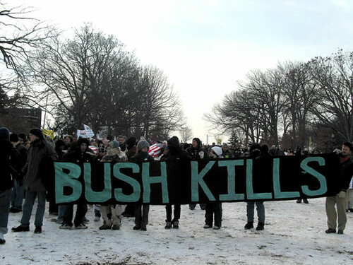 bush.kills