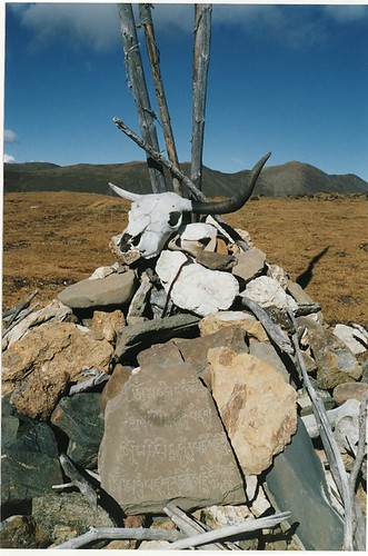 Skull on cairn, Yulongxi, near Kangding