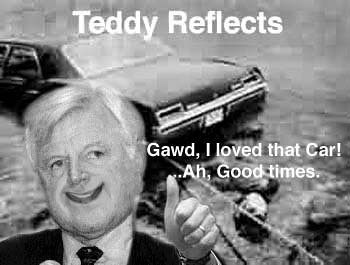 Teddy reflects
