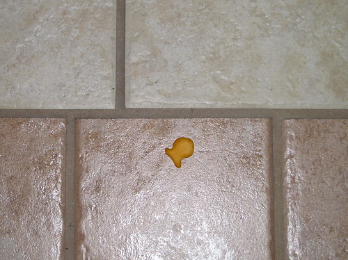 A lonely goldfish on the cold linoleum floor