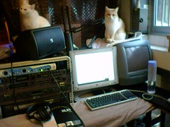 My music, audio and graphics design workstation, composed of Macintosh G4 system, DIGI 001 audio interface, Roland A-30 MIDI controller, SONY MDR-7506 studio headphone, several gears... and my cats 三筒 & 阿華田.