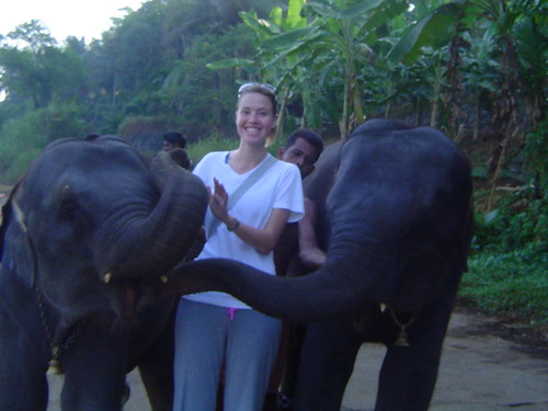 Bathing With Elephants