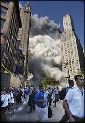 WTC Disaster