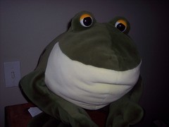 Big Stuffed Frog