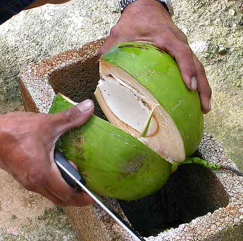 splitting coconuts