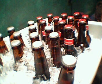Chilled Budweiser bottles