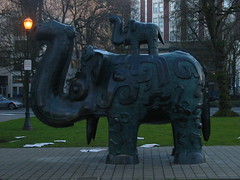 n park elephant