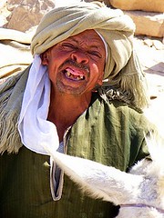 Donkey Owner, Saqqara