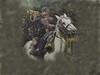 Cavalry bugler background