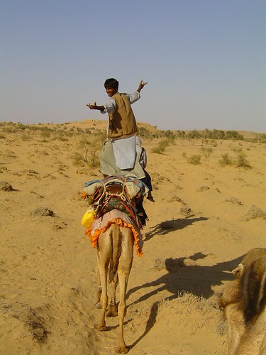 Camel Driver Jamon!