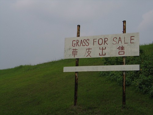 Grass For Sale