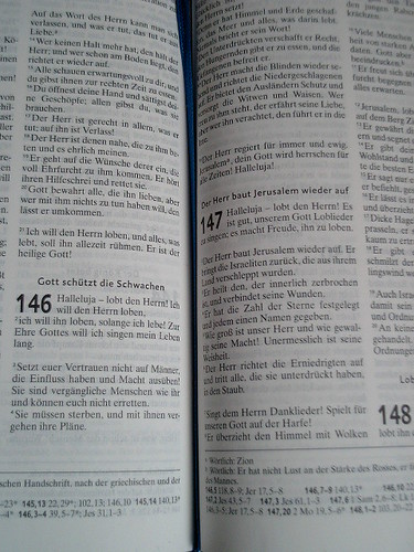 Bible - Psalms in German