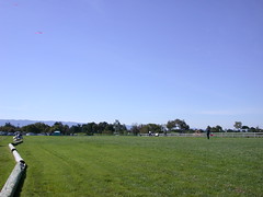 Kite Flying Area
