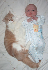gus (the cat) and sam (the baby)