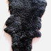 Sheepskin rug on ebay (1)